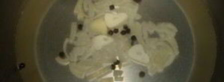 маринованные лисички с чесноком. Шаг 2