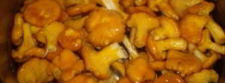 маринованные лисички с чесноком. Шаг 3