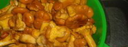 маринованные лисички с чесноком. Шаг 4