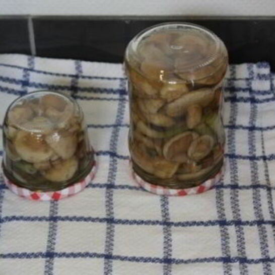 Рецепт маринованные маслята за сутки