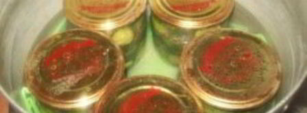 маринованные огурцы с горчицей. Шаг 5