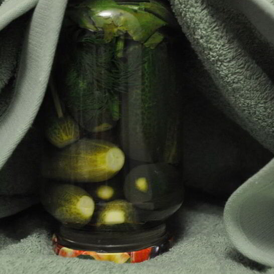 Рецепт маринованные огурцы