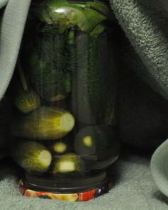 Маринованные огурцы