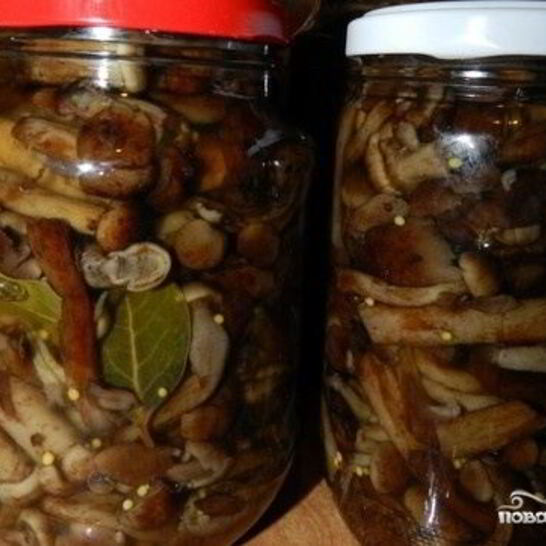 Рецепт маринованные опята с горчицей