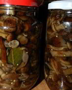 Маринованные опята с горчицей