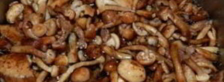 маринованные опята с горчицей. Шаг 2