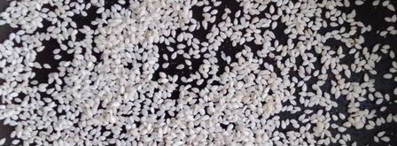 маринованные шампиньоны. Шаг 5