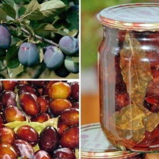 Рецепт маринованные сливы на зиму