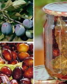 Маринованные сливы на зиму