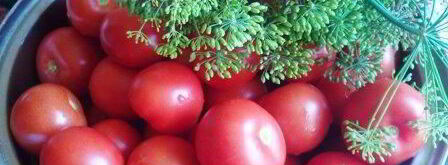 помидоры маринованные с базиликом. Шаг 2