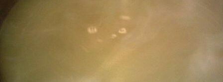 помидоры маринованные с базиликом. Шаг 5