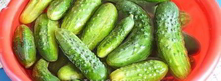 огурцы на зиму в литровых банках. Шаг 3