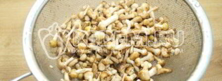 опята душистые. Шаг 2