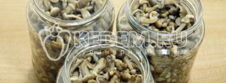 опята душистые. Шаг 10