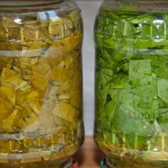 Рецепт щавель на зиму в банках