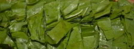 щавель на зиму в банках. Шаг 2