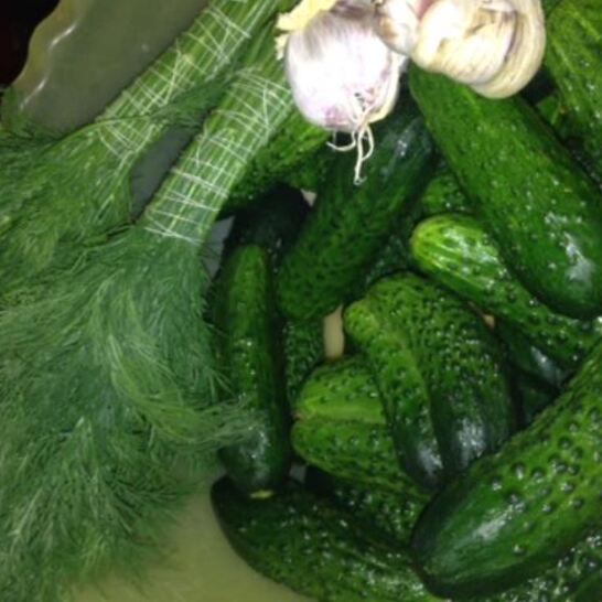 Рецепт быстрые малосольные огурцы