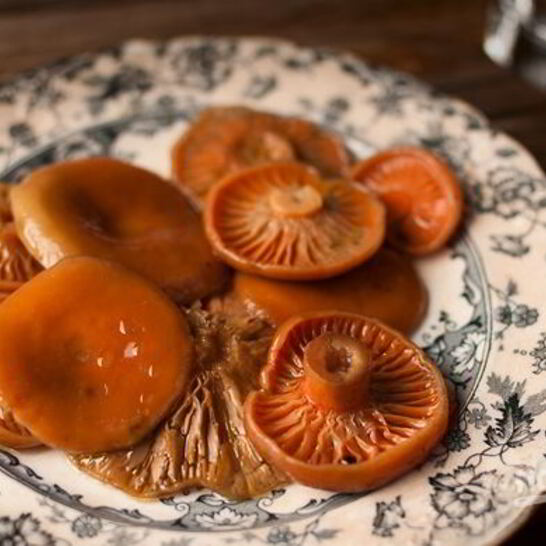 Рецепт грибы соленые