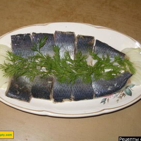 Рецепт малосольная селедка