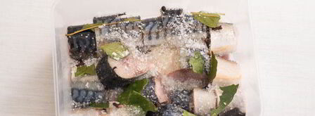 малосольная скумбрия. Шаг 5