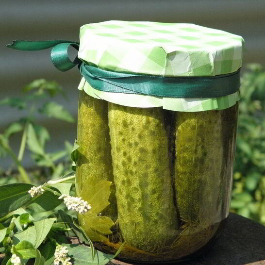 Рецепт малосольные огурчики на зиму