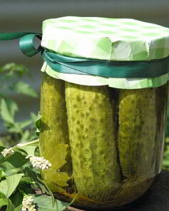 Малосольные огурчики на зиму