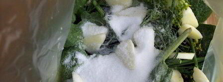 малосольные огурчики в пакете. Шаг 3