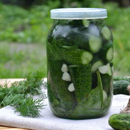 Рецепт малосольные огурцы без закатки