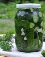 Малосольные огурцы без закатки