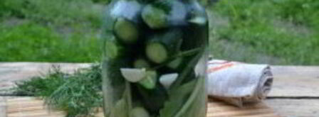 малосольные огурцы без закатки. Шаг 4