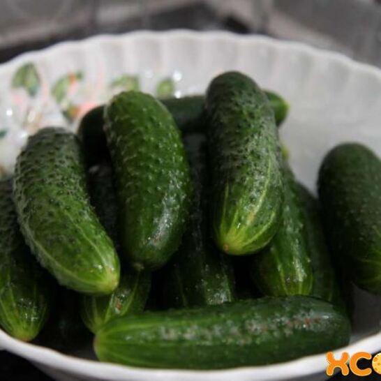 Рецепт малосольные огурцы на минеральной воде