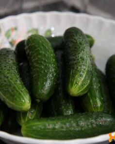 Малосольные огурцы на минеральной воде