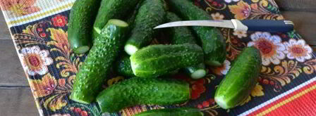 малосольные огурцы с чесноком и укропом. Шаг 5