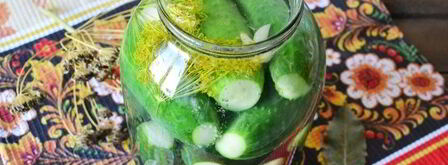 малосольные огурцы с чесноком и укропом. Шаг 10