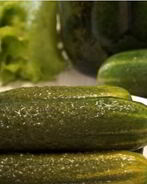 Малосольные огурцы в банке