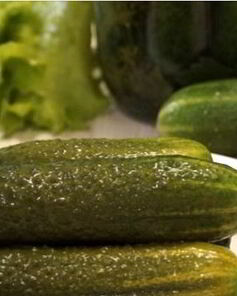 Малосольные огурцы в банке