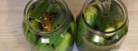 малосольные огурцы в банке. Шаг 4