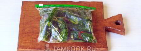 малосольные огурцы в пакете с чесноком. Шаг 10