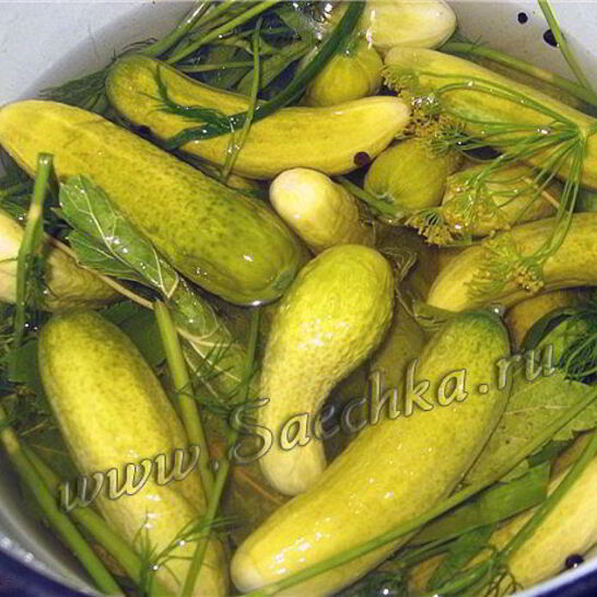 Рецепт огурцы малосольные
