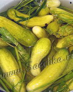 Огурцы малосольные