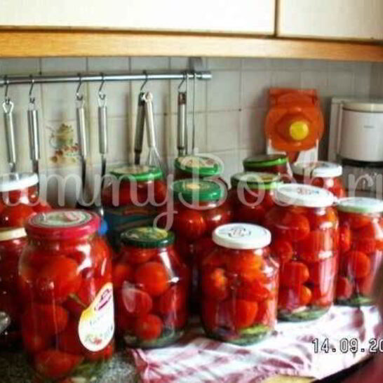 Рецепт помидоры консервированные
