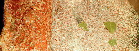 пряное сало. Шаг 5