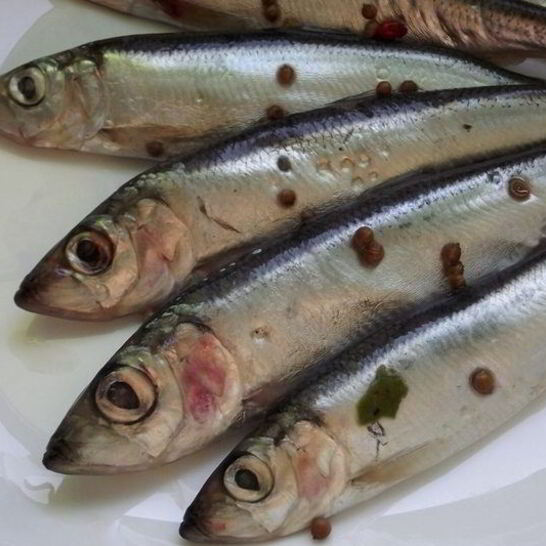 Рецепт салака пряного посола