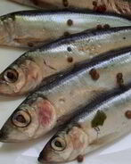 Салака пряного посола