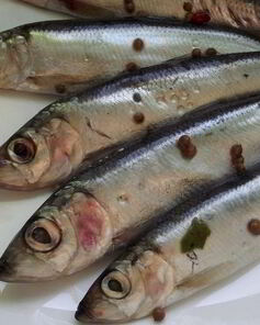 Салака пряного посола