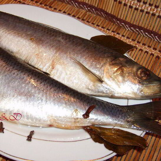 Рецепт сельдь домашнего посола