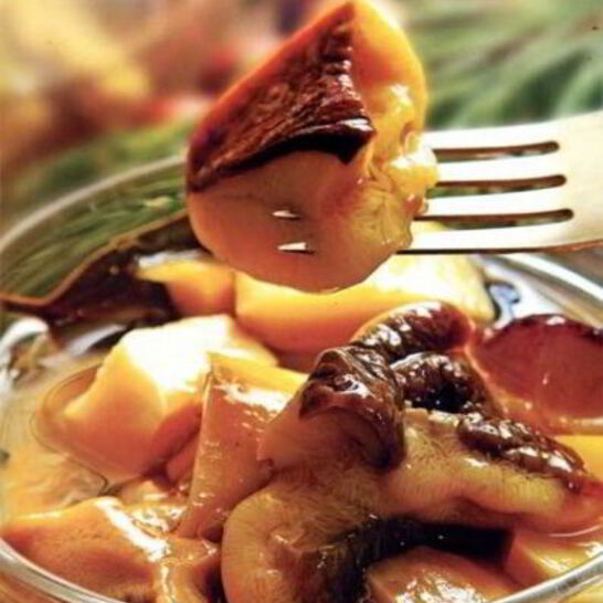 Рецепт соленые белые грибы