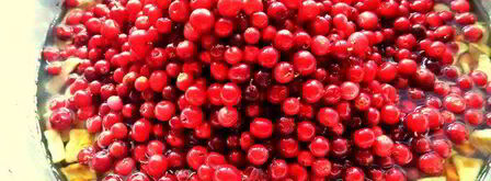 бруснично-яблочное варенье с морковью. Шаг 10