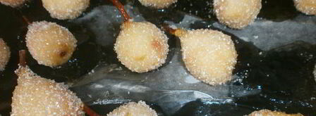 киевское сухое варенье из груш. Шаг 12