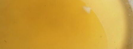 киевское сухое варенье из груш. Шаг 6